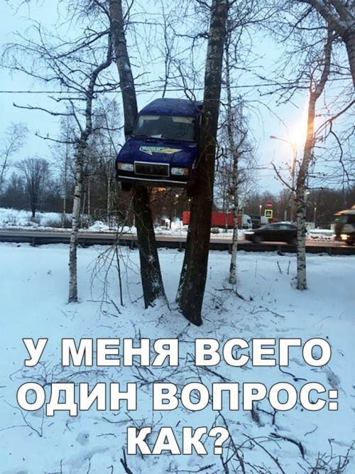 NA-DEREVE-ZIGULI.jpg