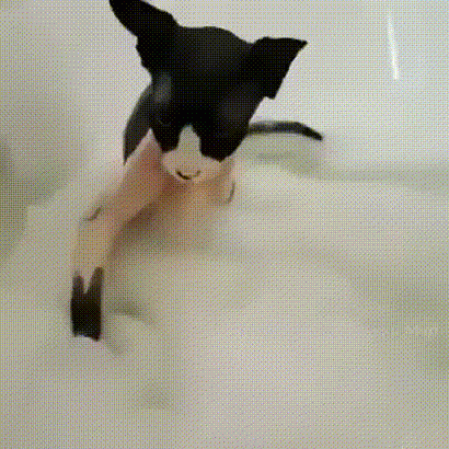 image123.gif