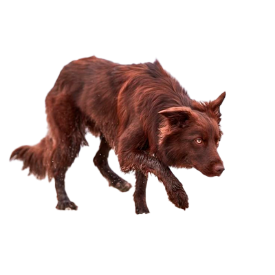 SOBAKE-3.png
