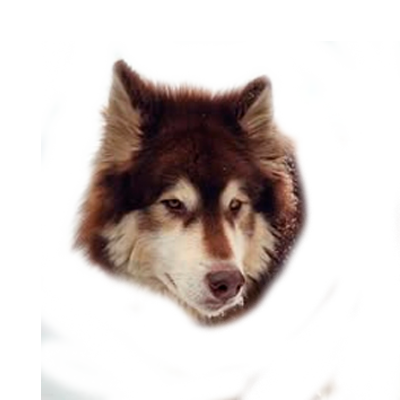 SOBAKE2.png
