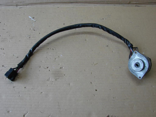 CANTER-4D33-1.jpg
