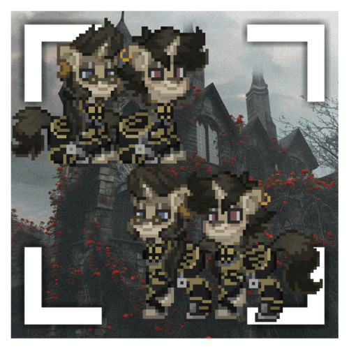 Y5.jpg