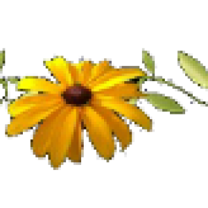 131094981-327