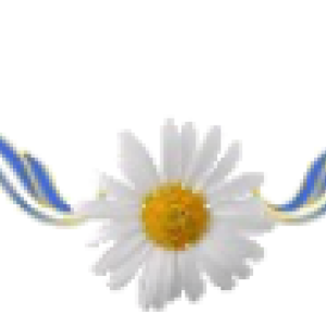 131094991-308