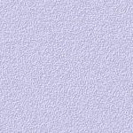 SINII-4.jpg