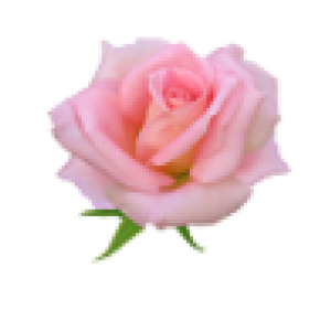 159512864_159512855_Bez_imeni1