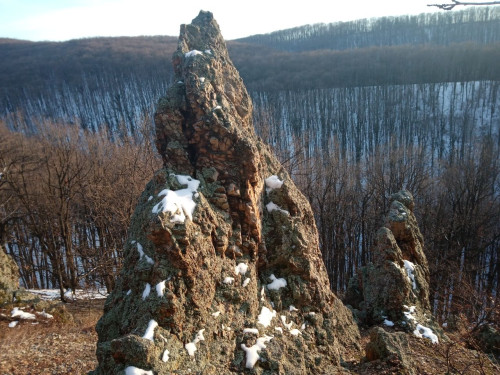 orlovestene4.jpg