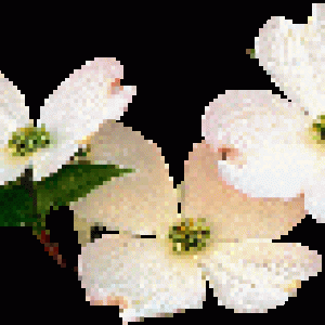 0_1ef39_d9bff7a1_XL.jpg