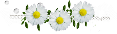 128327271_112.png