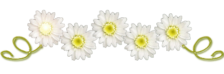76923040_R27.gif