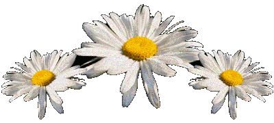 9130582c7b712268701ef42e9a894741_i-11878.gif