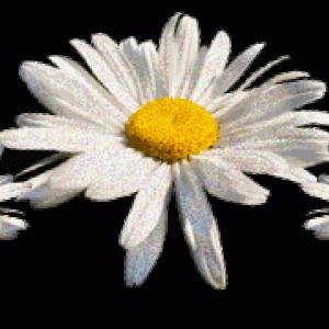 9130582c7b712268701ef42e9a894741_i-11878