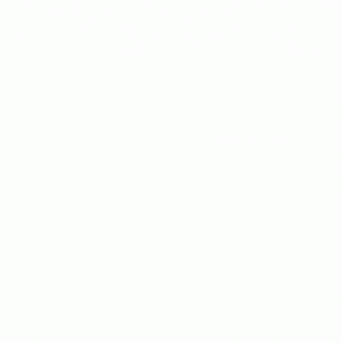 DIZAIN-BEZ-NAZVANIY-1.gif