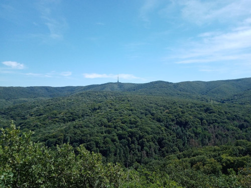 orlovobojiste3.jpg