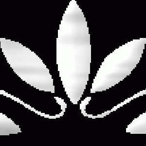 0bbd2f077e5e