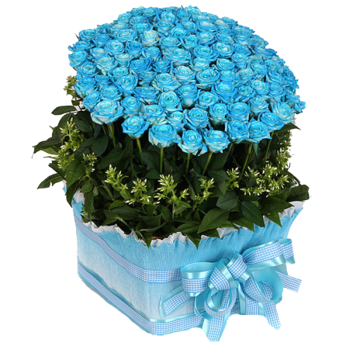 4a58a18b610c.png