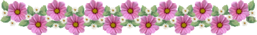 2.gif