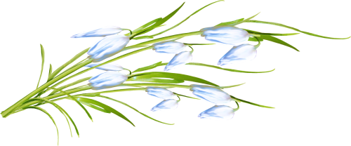 freshness_DoV-177.png