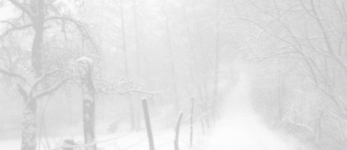 03A051AA-50B7-4FAB-8CC1-F7C92A7687F8.gif