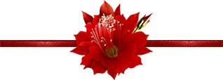 0_10d458_ac4ae4e9_L.png