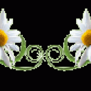 86653487_0_70184_2433ebbe_L