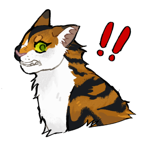 IMG_9086.png