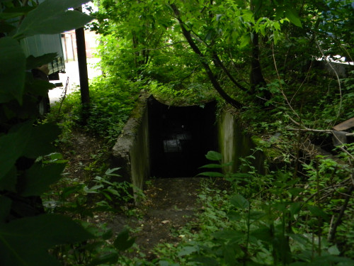 DSCN7133.jpg