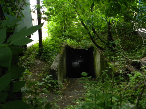 DSCN7134.jpg