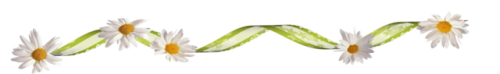 0-622e1-27ed2f62-orig.png