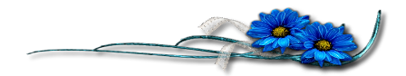 unnamed-3.png