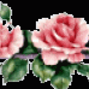 wp-rosa-ranke6