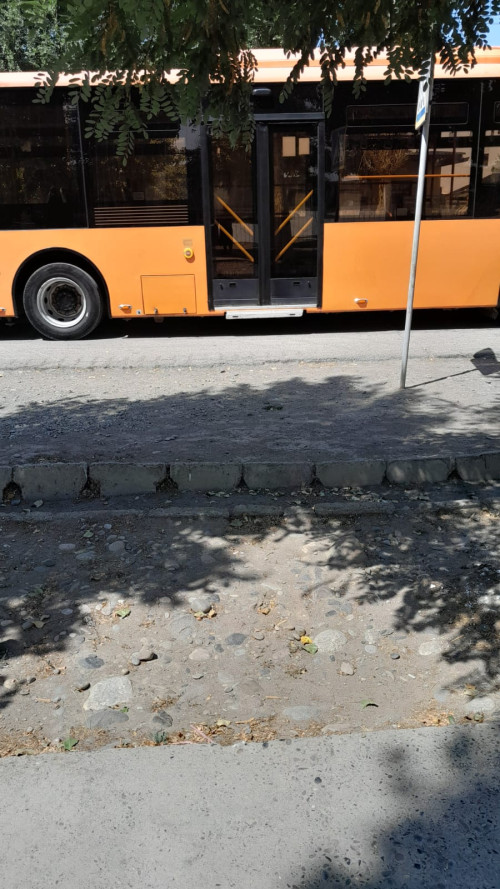 1000349916.jpg