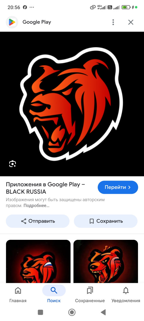 1000351357.jpg