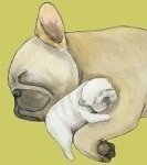 3a50b3030cbc.A8S38.jpg