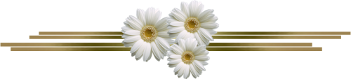 untitled_502669.png