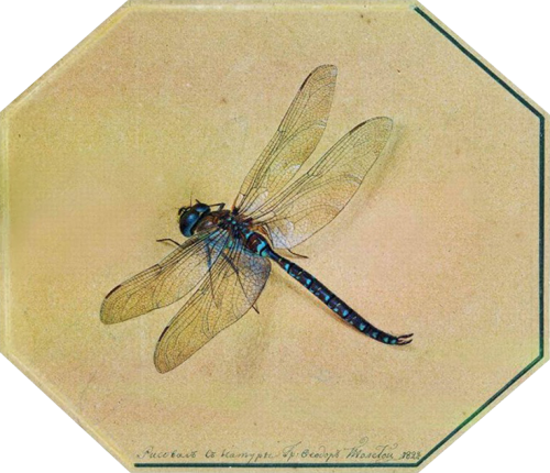 IMG_5681.png