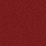 isolde-2.jpg