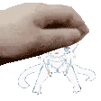 KKIGLADIT.gif