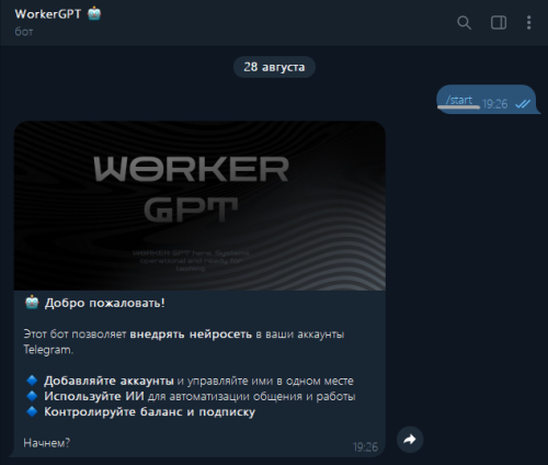SNIMOK-EKRANA-2025-08-28-192725.png