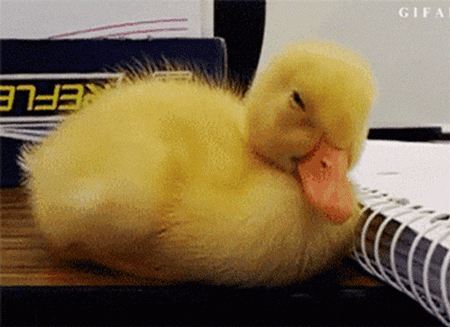 1595844592_13.gif