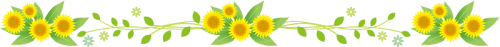 image_processing20220425-3903-io0a5.png