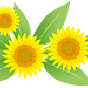 image_processing20220425-3903-io0a5