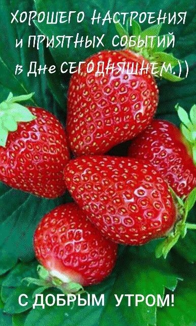 f1eab3cd60c1250a111b687a7f29d719.jpg