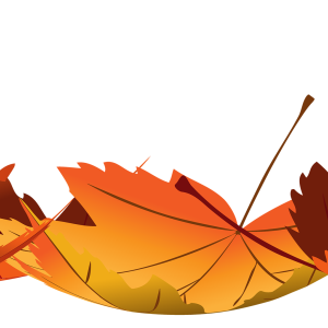 fallen-leaves-png-7