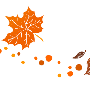 gas-kvas-com-p-razdeliteli-osennie-listya-na-prozrachnom-1