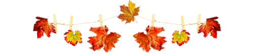 gas-kvas-com-p-razdeliteli-osennie-listya-na-prozrachnom-10.png