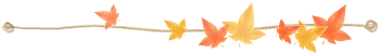 gas-kvas-com-p-razdeliteli-osennie-listya-na-prozrachnom-23.png