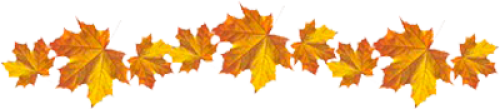 gas-kvas-com-p-razdeliteli-osennie-listya-na-prozrachnom-31.png