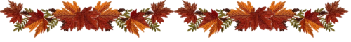 gas-kvas-com-p-razdeliteli-osennie-listya-na-prozrachnom-6.png