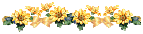 scale_1200.gif